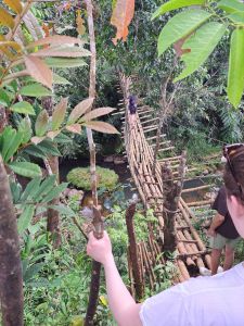 På vei til en landsby lengre inn i landsbyen